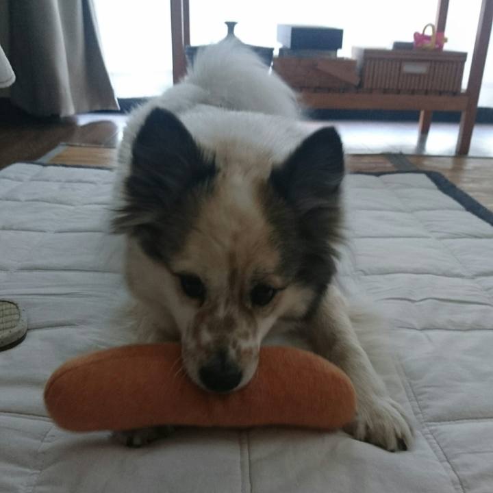 9c6f6c51 6881 429d a302 25fa098302f6