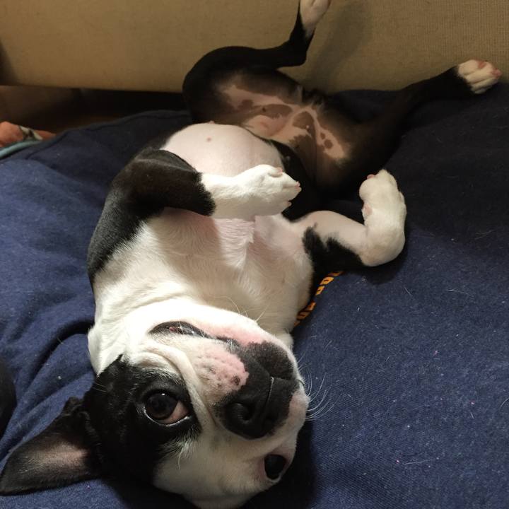 9c707165 0b0a 461d bca3 011cfaee18ce