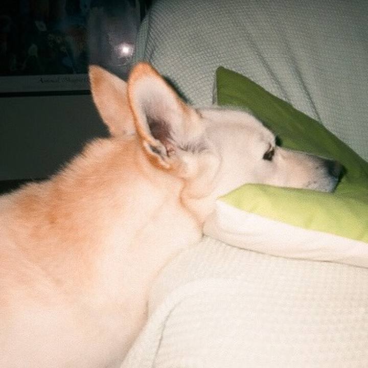 9c7113ae 9858 4985 8c16 5948205816dd