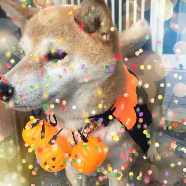 9c7116d9 c940 47ac a03e d478905cc172