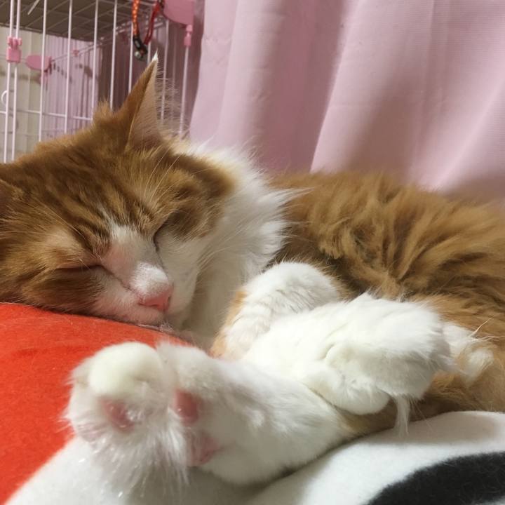 9c712659 e743 4b0e a272 5c94c50e7346