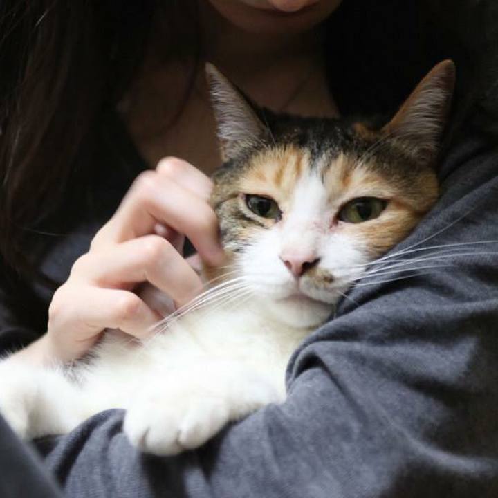 9c713c13 6fa3 4cc8 b65d 700a64449a46