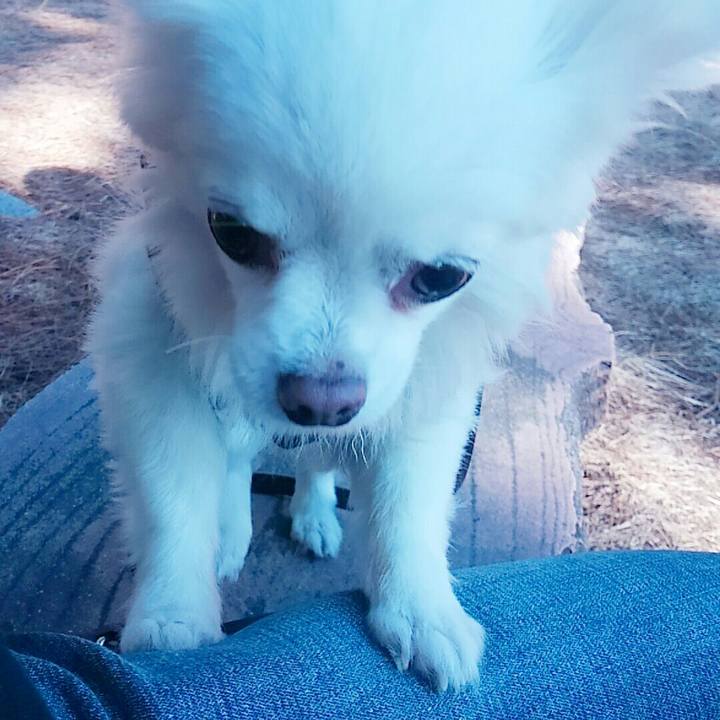 9c717b7d 9fff 4a63 a646 390120dbd466