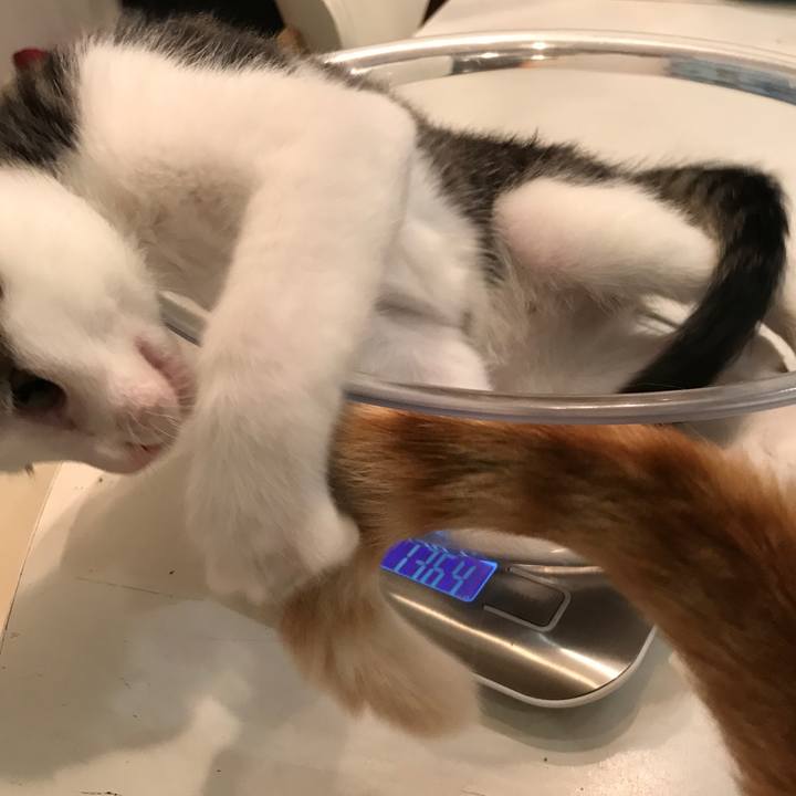 9c71f875 995a 478f afb7 49e132cf8347