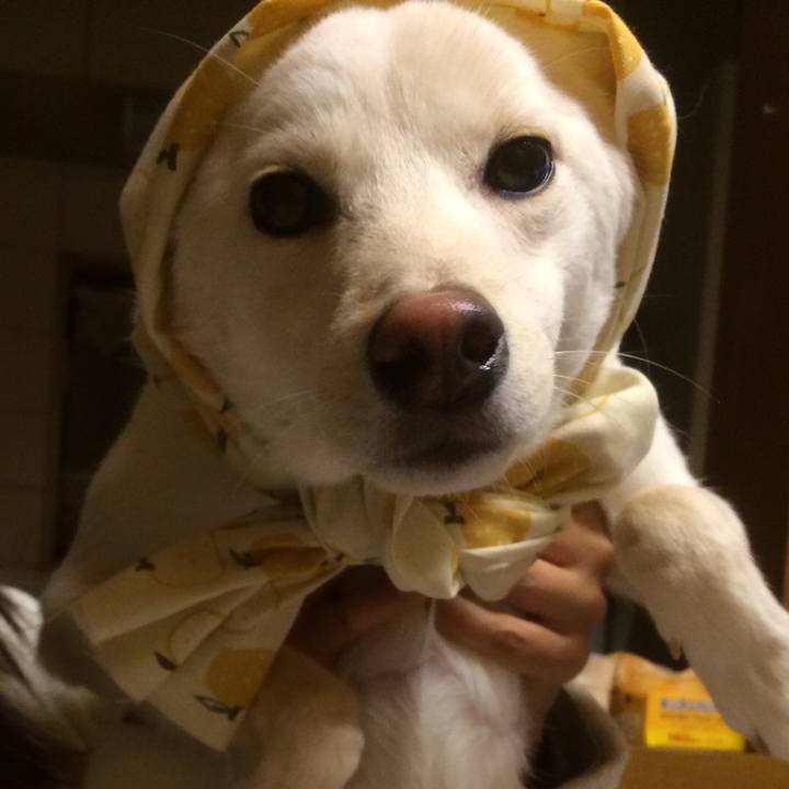 9c72520a b947 4cfa 8efb 2007fde3fc67