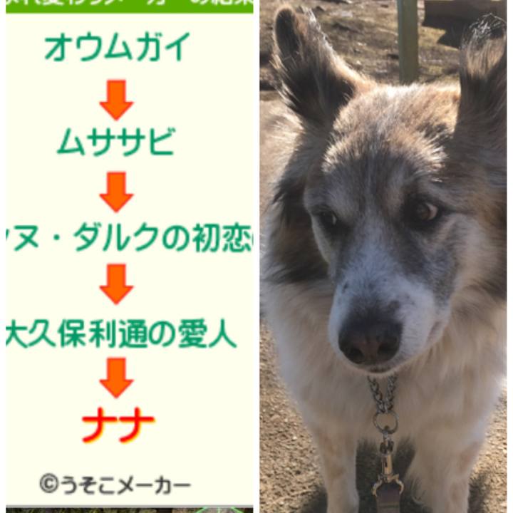 9c72876a a008 425f 9020 5b44cf2464f9