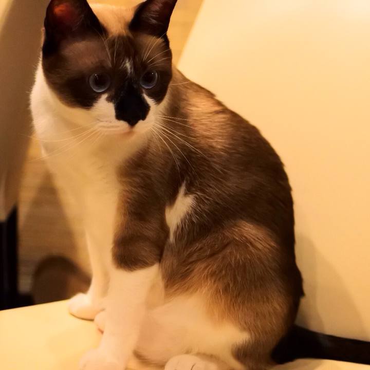 9c739b06 2e4a 4e85 97f9 e58672f64da6