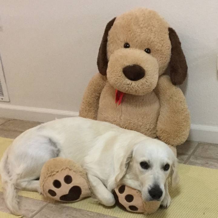 9c73f6f2 3f81 4b87 9935 2ddbaad8f8ac