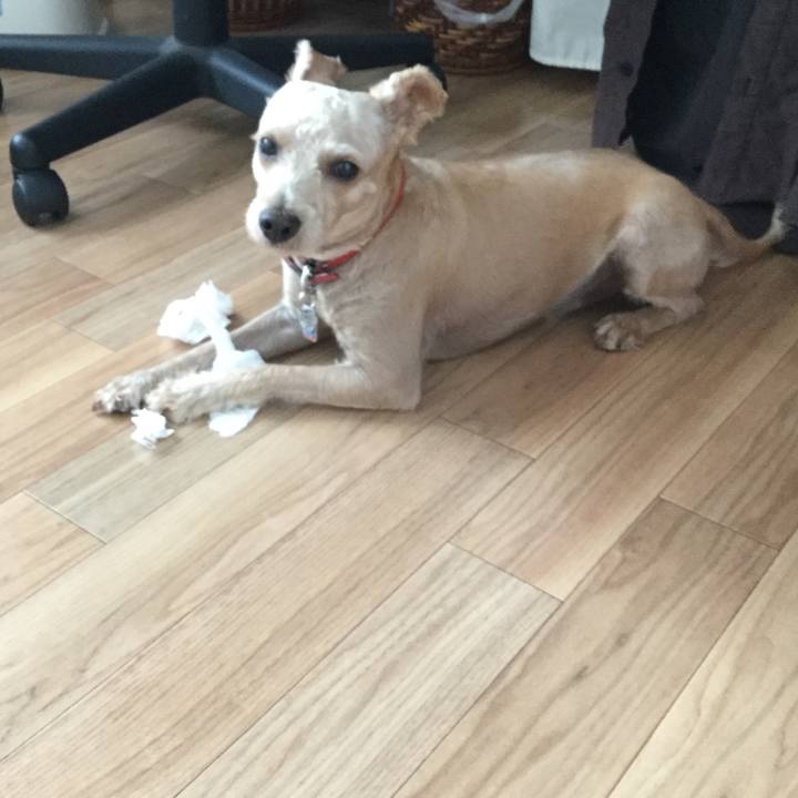 9c740b5f 8803 4a3a 9ddf 856f0d3ee0ac