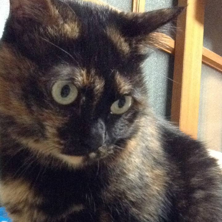 9c74274f 0de1 482d 8a26 cae2b9bc8c96