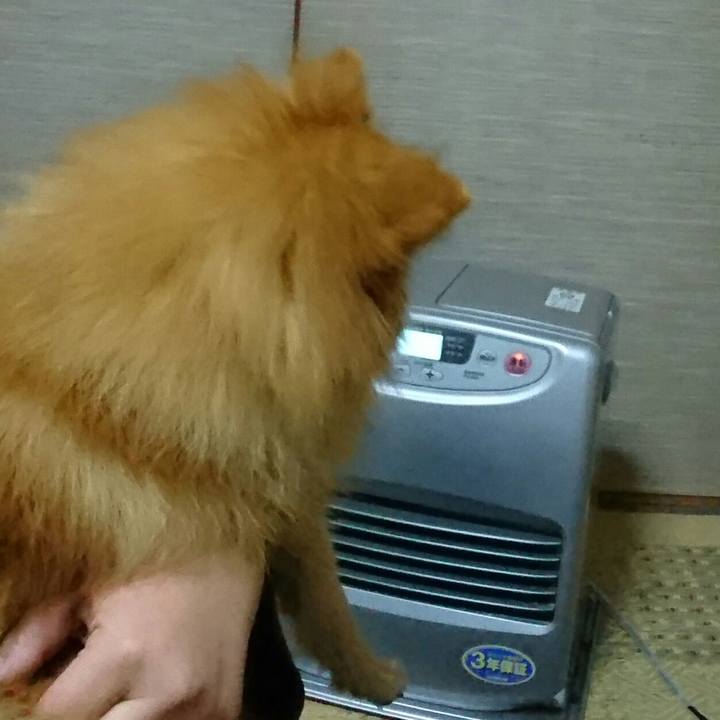 9c74795c 1afa 4b3e 8fe5 fb14f80b6ff9