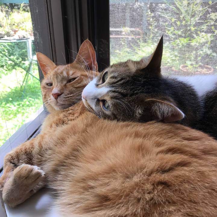 9c74d879 ff4e 4b06 b0bd a3635abf6136