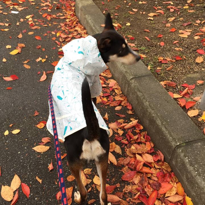 9c758122 3f0d 4619 81bc ade8fa3abbd3