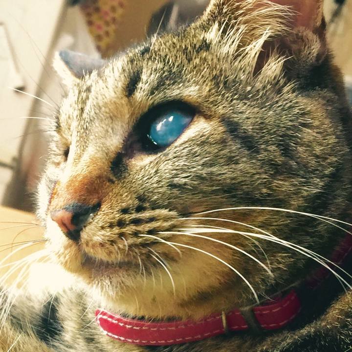 9c7597f8 b6a4 4a90 857e fd5feeab50a4