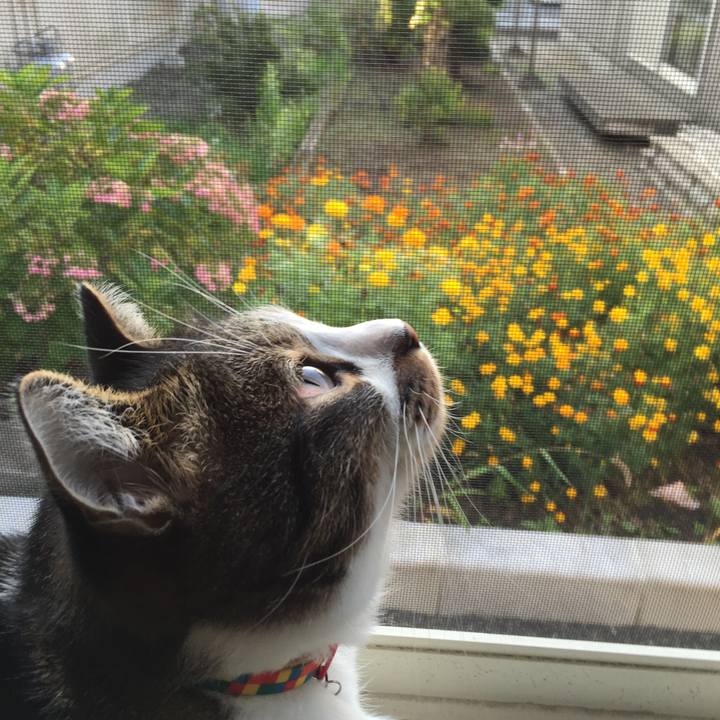 9c7609b4 87dd 4ca0 8cd6 1a4df2530400