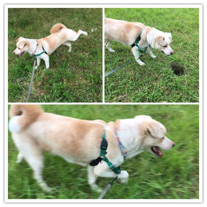 9c76952b 6867 49dd bb9c af3e8f5d3060