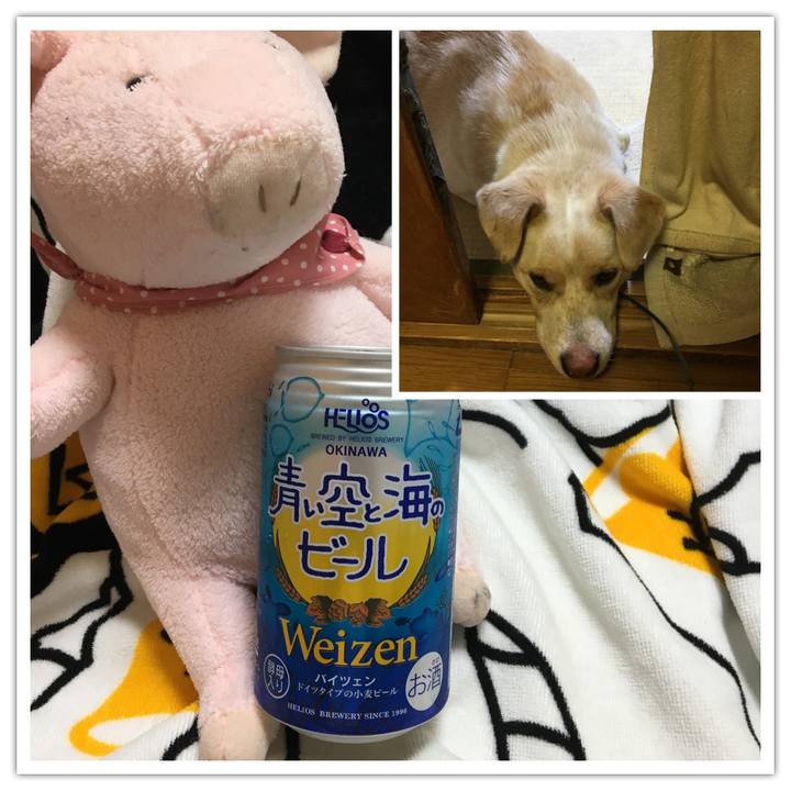 9c77b506 b6aa 46fe 80de 9aea5dc0bcf4