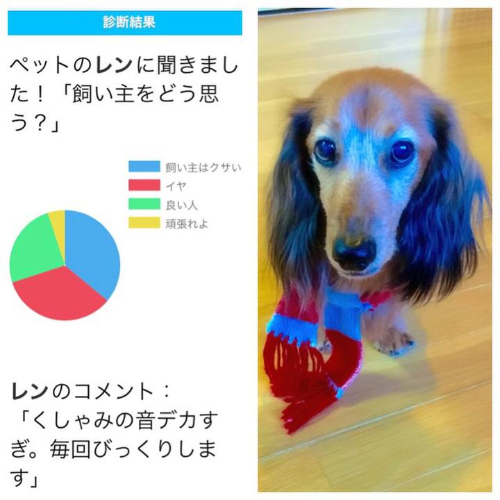 9c787299 852f 4aa8 8f49 ae252e1cc0fe