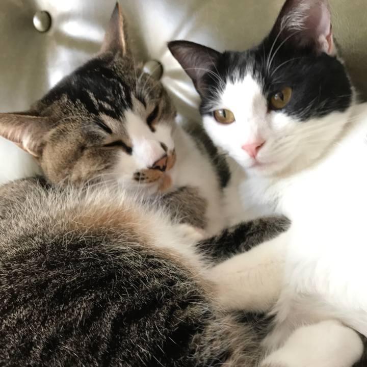 9c78bb17 2025 4270 984b 532a759778b7