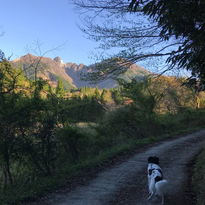 9c78de59 1aff 4d26 86cd e3bb3381e829