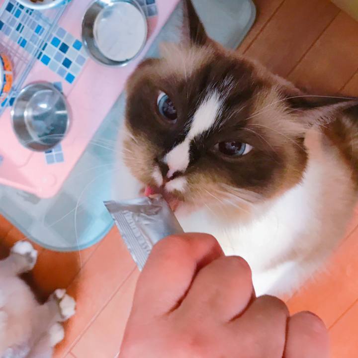 9c790508 eedd 4865 82b2 6e07487f6058