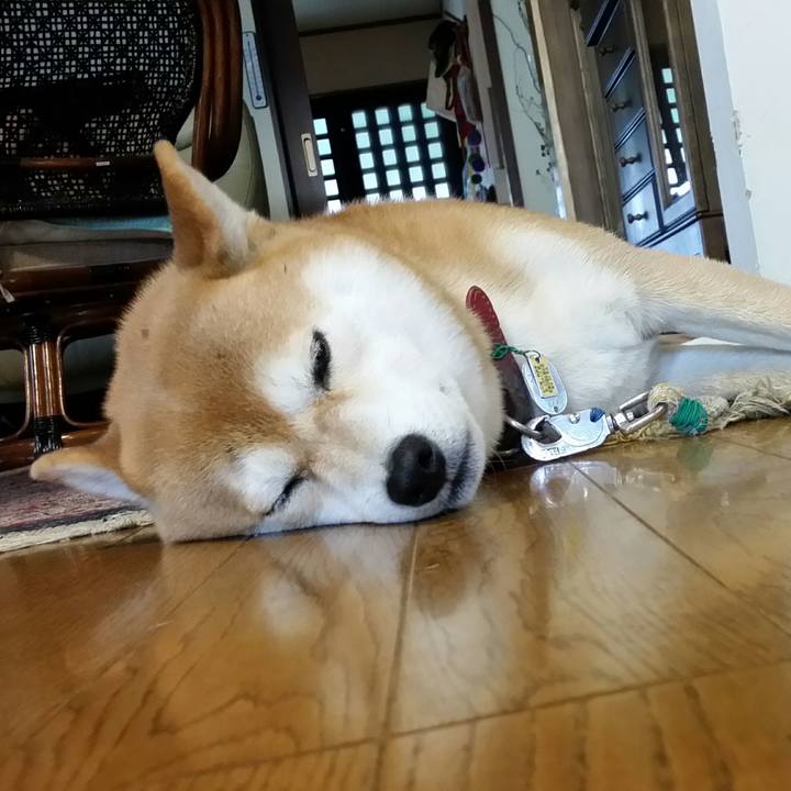 9c790bb8 ee98 4eed 8540 befcd4ba7b89