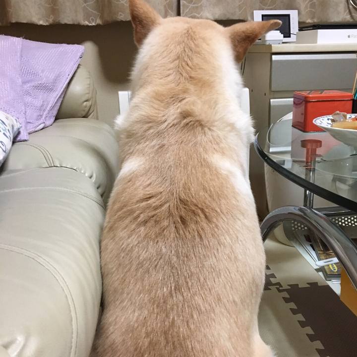 9c7a0285 7aed 4ed8 a078 dfc5652364c2