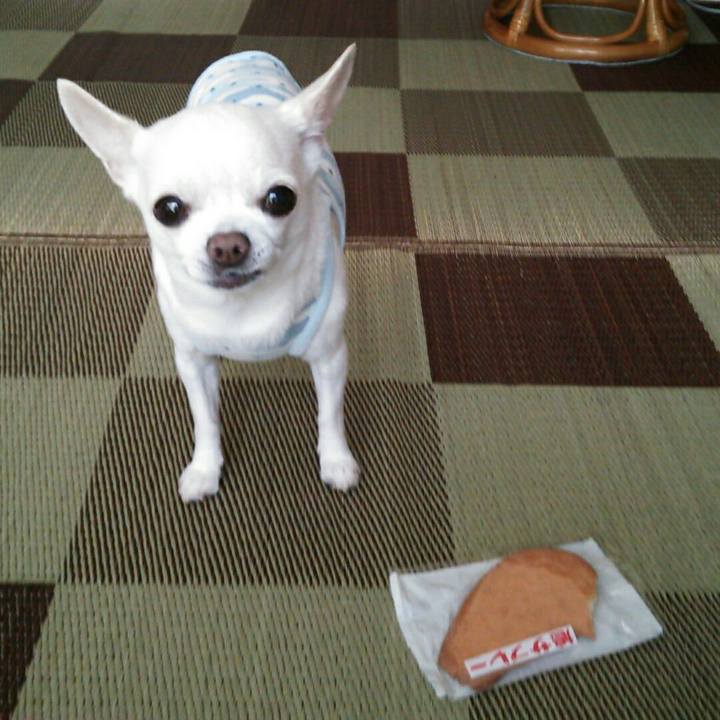 9c7ae36e 17b1 44b6 ad06 9cd1af7abeb2