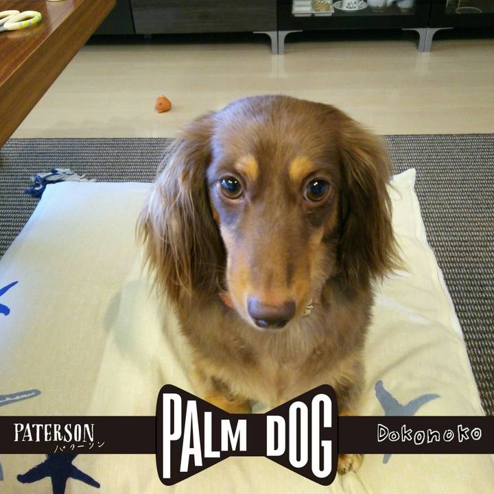 9c7b0327 3c8f 4192 8ebc 3799cd1d602a