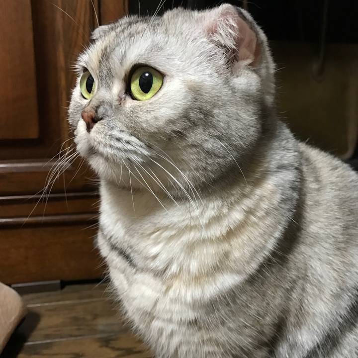 9c7b1123 afc3 4736 adde 6f5ff16a6554