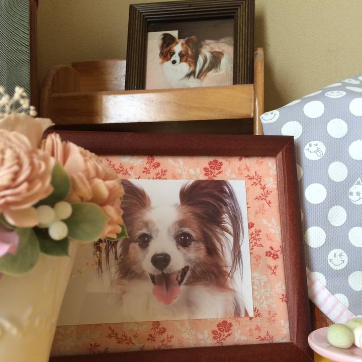 9c7b2e68 cfda 40e5 96a5 e70235caa0d2