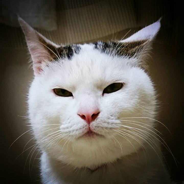 9c7ba1a2 9047 468b bd41 34688d15859e