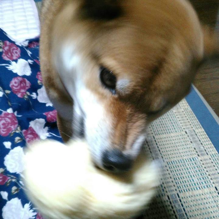 9c7c9270 1a10 433e a985 55b8e6c62601