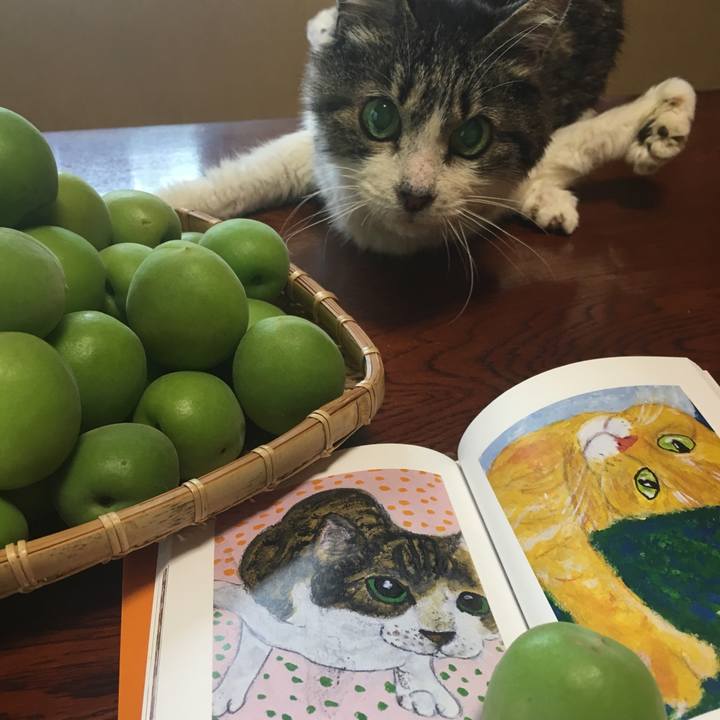 9c7ccb2d a5ba 4a11 829d f16e294406c4