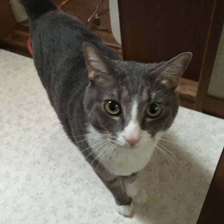 9c7ce4e2 fd43 4ec4 a0a9 13ce7206b442