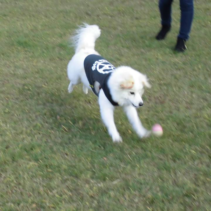 9c7cf7bf 2880 4286 983a 59762c6832fa