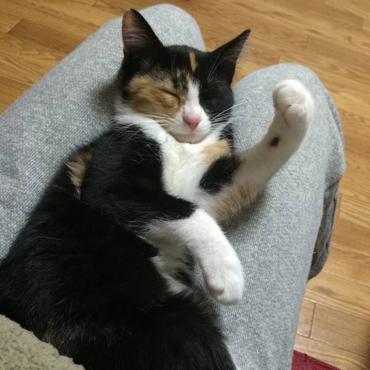 9c7d0be7 7bbb 4aa8 a609 364d31cd3d78