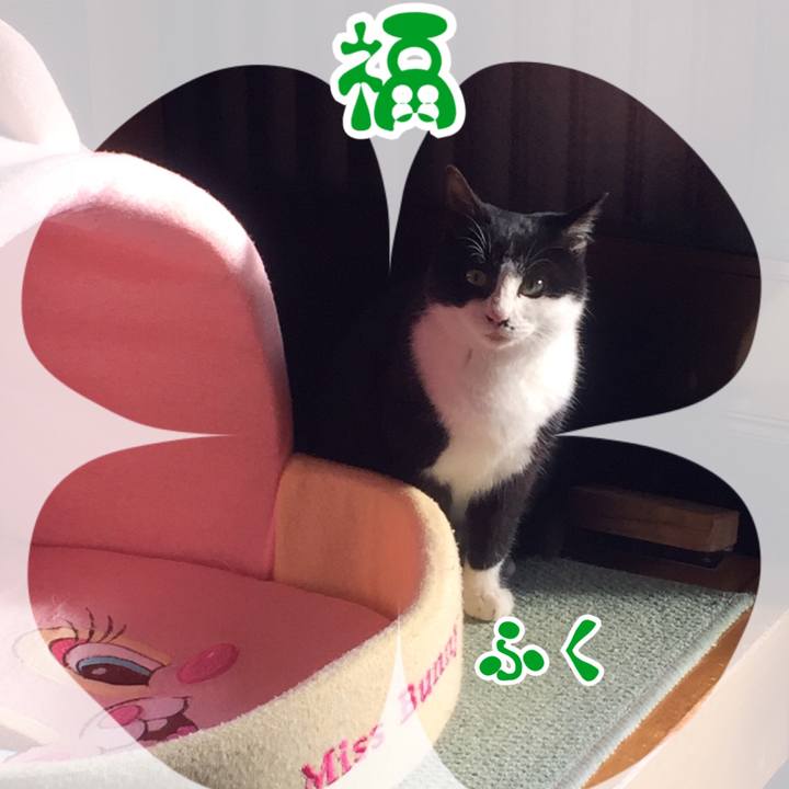 9c7d9bdf 3666 49a6 9ad1 f30f7dd172a6