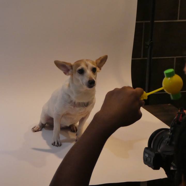 9c7ddd27 ed86 455a 85c2 37fc41868fae