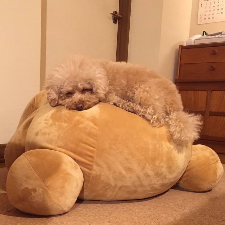 9c7df2a1 5fc8 401a 9af0 50cae969dfd3