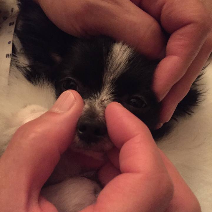 9c7e4bb1 5a55 47a1 ac53 14f9ecc4d91d