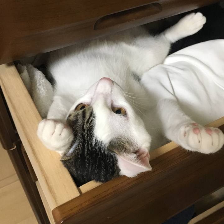 9c7ea1f0 cf94 4027 aae3 433fd615da5f