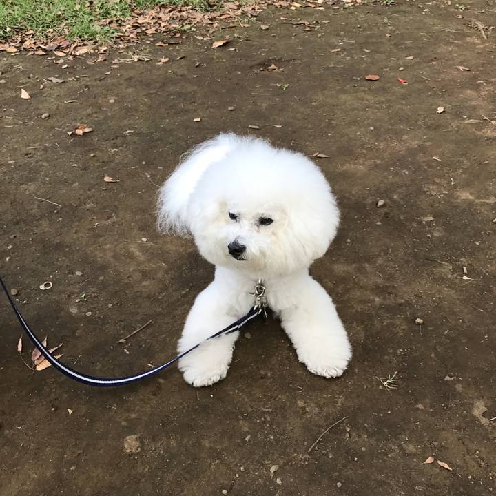 9c7efab0 928e 4a3d 85af 838c19274ea6