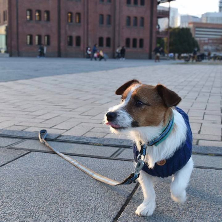 9c7f3f80 b179 4232 8f31 053582ee4dea