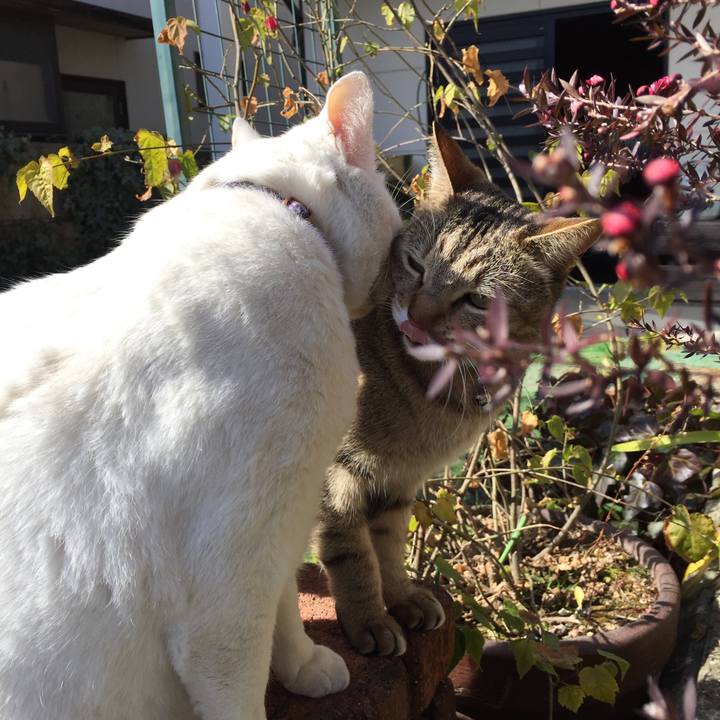 9c7f9200 e45e 4667 bd47 0adb1d6857cb