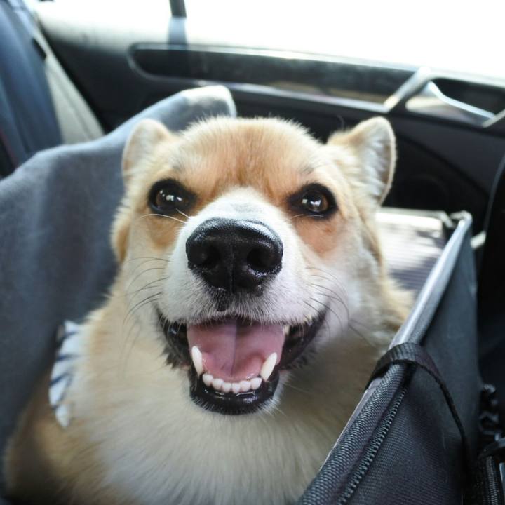 9c7f9bba 2fdb 46f4 a03b f7be2aed0f15