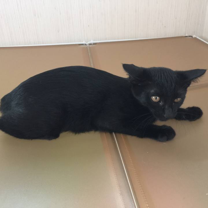 9c800a37 d1e2 4ac9 8059 707b3ed7ca95