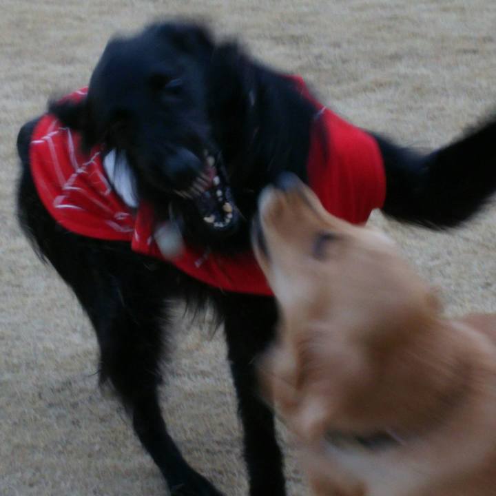 9c81c646 5c0d 43a0 a57c 2f5e7de23a5a