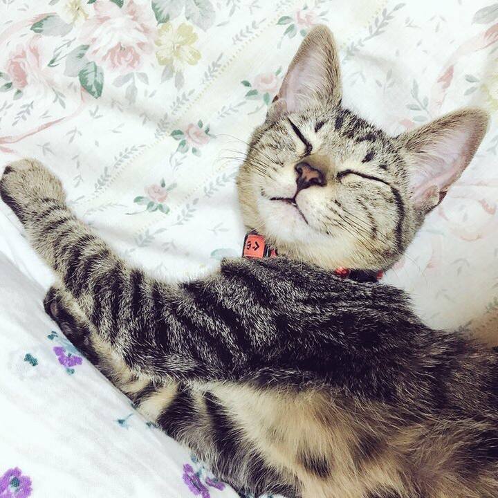 9c81f972 9e26 465e a2dd b5e173b66bae