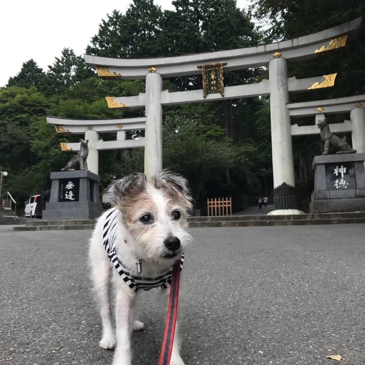 9c82cddb 8cf7 4784 933e 0e78e265b13b